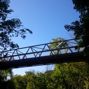 One of the many bridges in the ravine