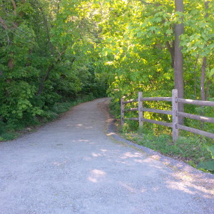 Entrance to Moore Park Ravine